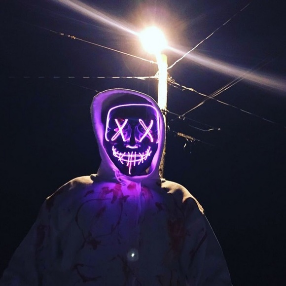 Meet your Posher, Gavin - Picture 1 of 1